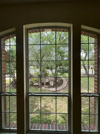 Clean arched interior windows looking out to green Austin landscaping