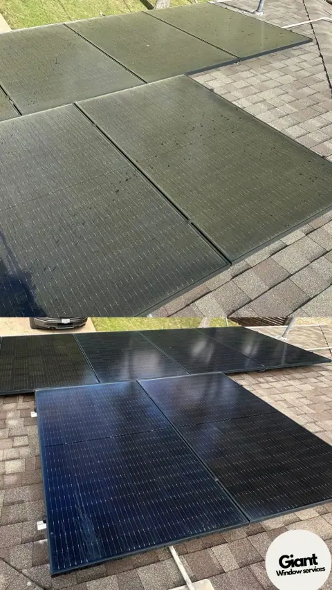Solar panels on a roof showing dirty panels before cleaning and glossy clean panels after washing